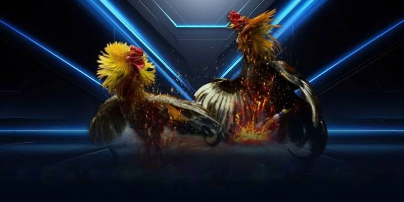 Những Yếu Tố Quyết Định Chất Lượng Hình Ảnh Thomo Những Yếu Tố Quyết Định Chất Lượng Hình Ảnh Thomo