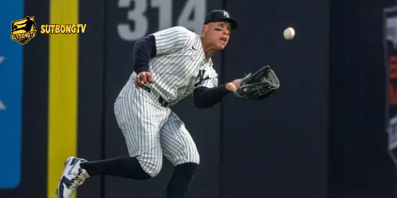 Aaron Judge Sức Mạnh Sân Bóng Chày Khiến Fan Khó Rời Mắt 