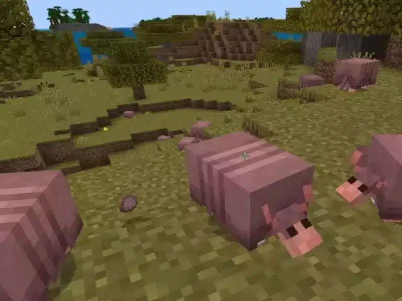 Jukebox Minecraft - Cách lấy và quản lý Music Disc