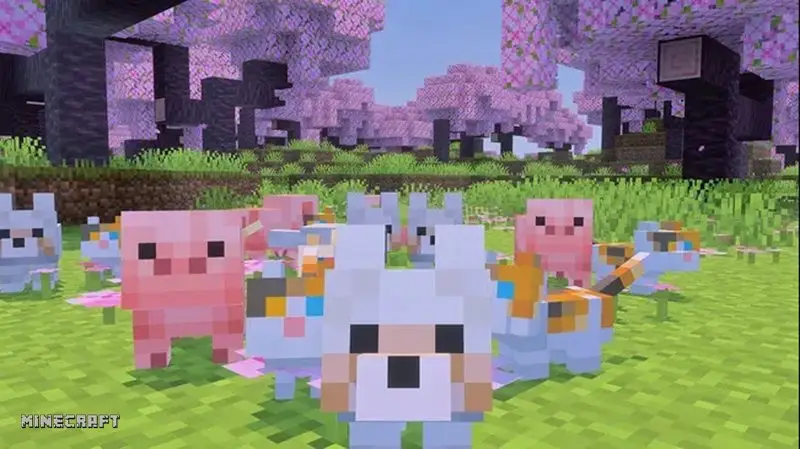 Thuyền Minecraft - Các loại thuyền theo từng loại gỗ